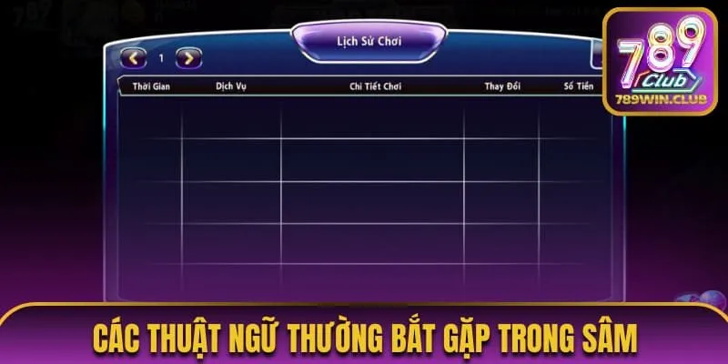 Các thuật ngữ thường bắt gặp trong Sâm