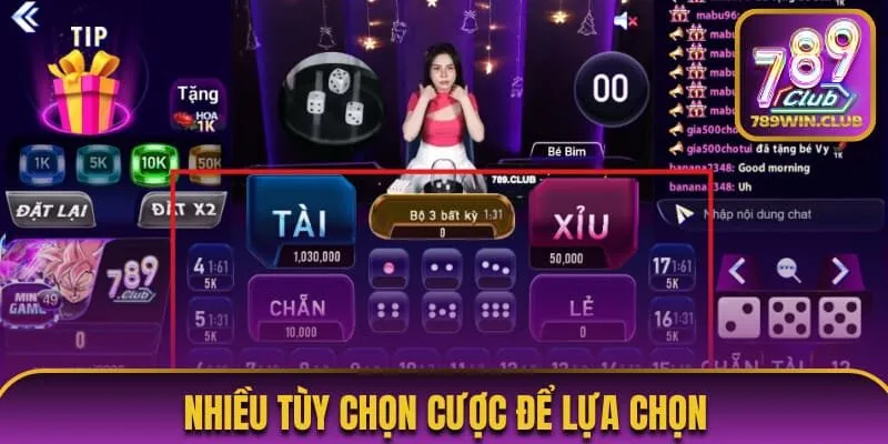 Tùy chọn đặt cược đa dạng để lựa chọn
