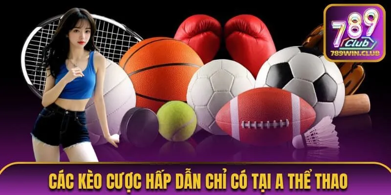 Thống kê các kèo cược hấp dẫn chỉ có tại A thể thao