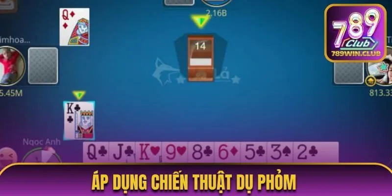 Áp dụng chiến thuật dụ phỏm