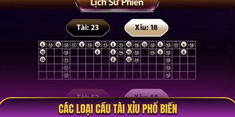 Loại 3: Cầu đảo