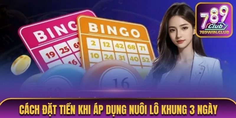 Cách đặt tiền khi áp dụng nuôi lô khung 3 ngày