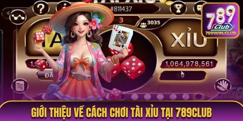 Giới thiệu về cách chơi tài xỉu tại 789Club