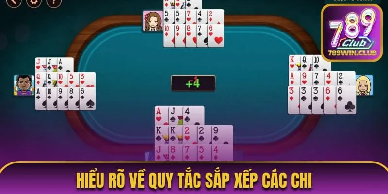 Hiểu rõ về quy tắc sắp xếp các chi