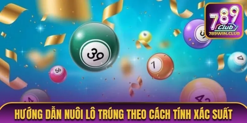 Hướng dẫn nuôi lô trúng theo cách tính xác suất