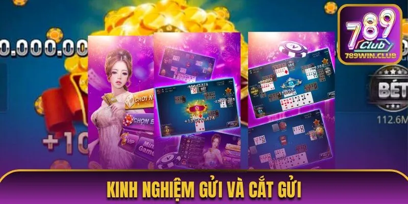 Kinh nghiệm gửi và cắt gửi