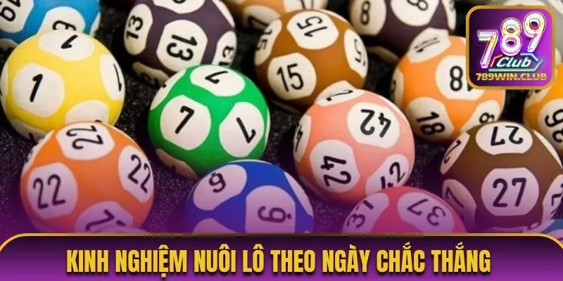 Tổng hợp kinh nghiệm nuôi lô theo ngày đánh là trúng