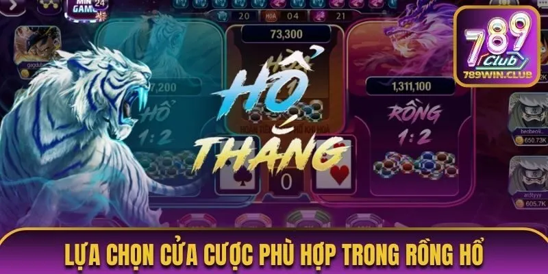 Lựa chọn cửa cược phù hợp: Kinh nghiệm chơi Rồng Hổ thắng lớn