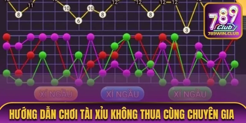 Tham khảo 4 hướng dẫn chơi tài xỉu không thua từ chuyên gia