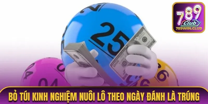 Tổng hợp kinh nghiệm nuôi lô theo ngày đánh là trúng