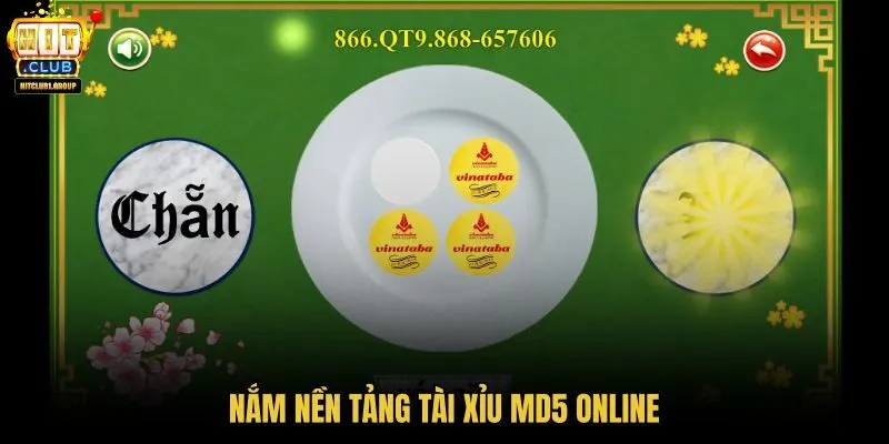 nam-nen-tang-tai-xiu-md5-online nam-nen-tang-tai-xiu-md5-online