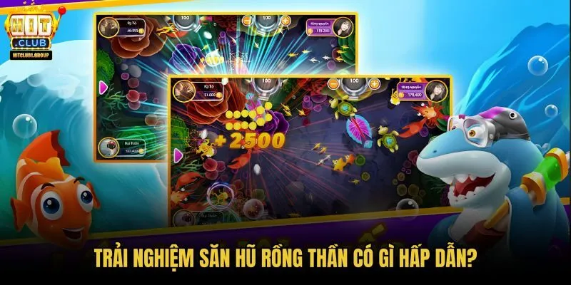 trai-nghiem-san-hu-rong-than-co-gi-hap-dan trai-nghiem-san-hu-rong-than-co-gi-hap-dan